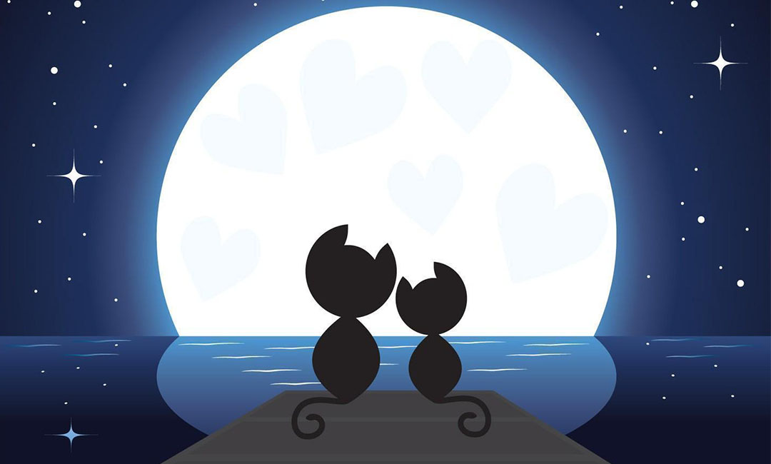 德州潮客汇微信活动策划案例